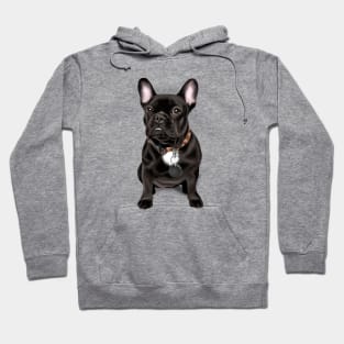 Frenchie Hoodie